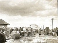 Sajmište u Heinzlovoj 1944. godine. U pozadini novo izgrađen kompleks Veterinarskog fakulteta